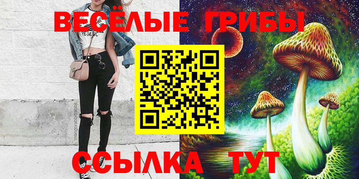 Галлюциногенные грибы GOLDEN TEACHER Грязи